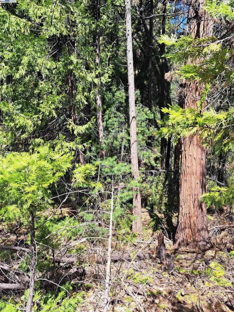 Sly Park, Pollock Pines, CA — listing photo 1