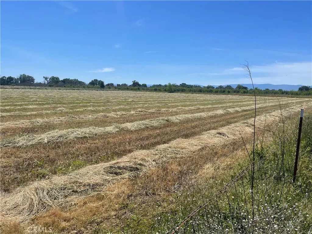 0 Reno Avenue, Gerber, CA — listing photo 1