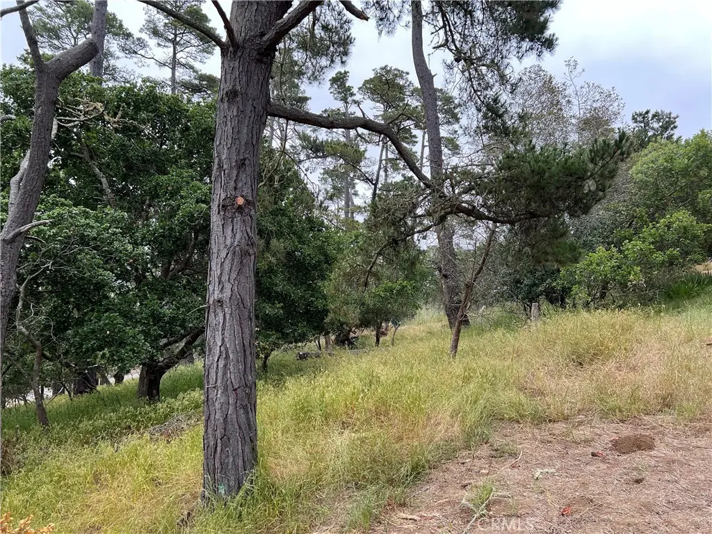 0 Norton Lane, Cambria, CA — listing photo 1
