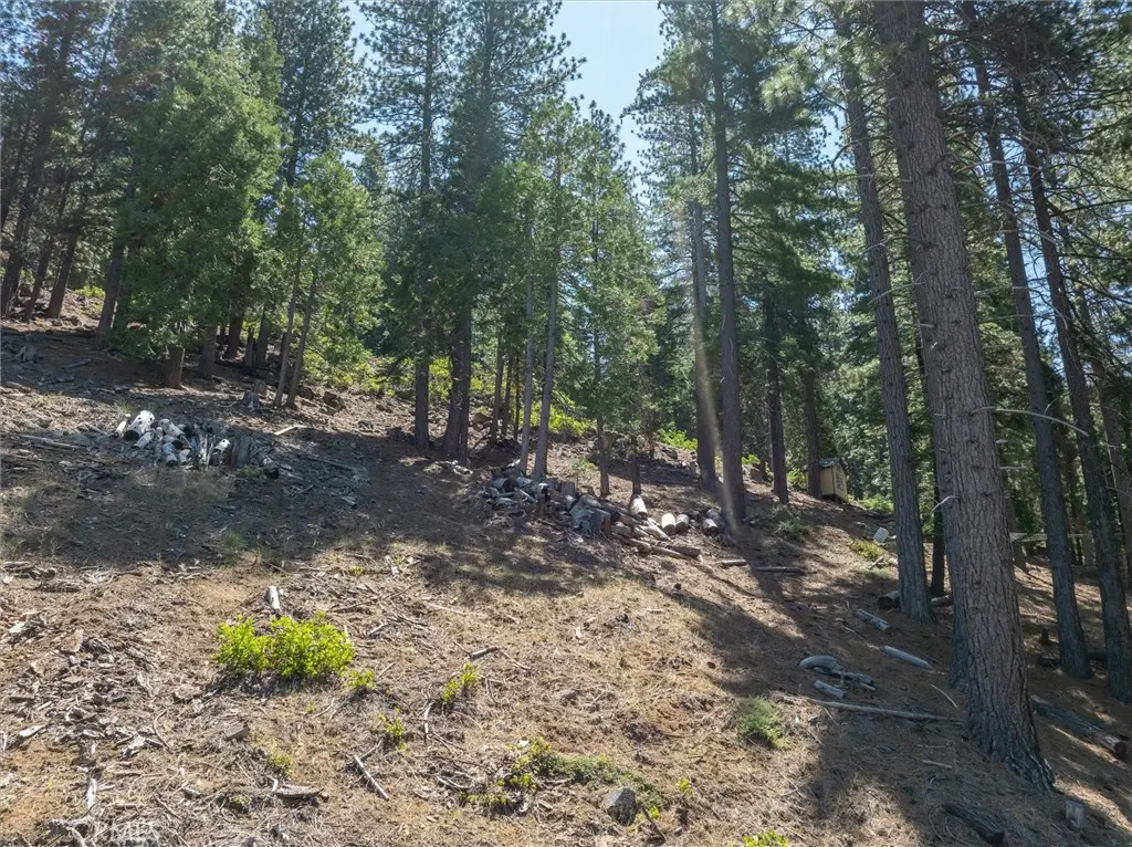 7343 Yosemite Park Way, Yosemite, CA — listing photo 1