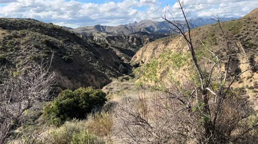 0 Burlwood Drive, Castaic, CA — listing photo 1