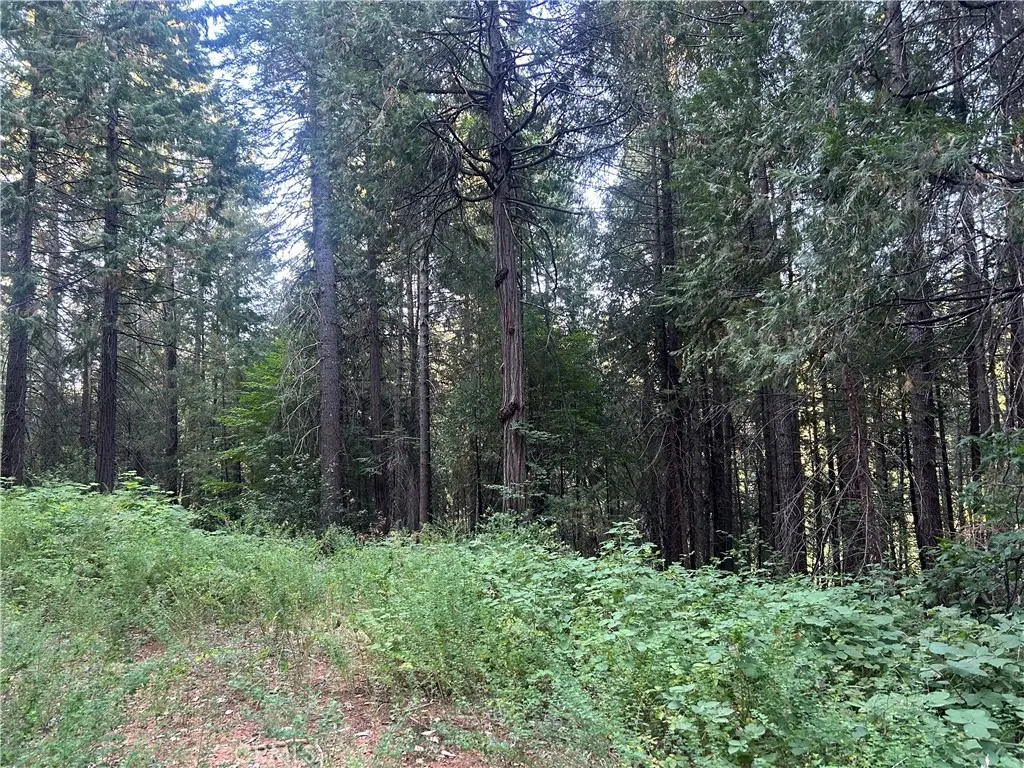6418 Hupp Coutolenc Road, Magalia, CA — listing photo 1