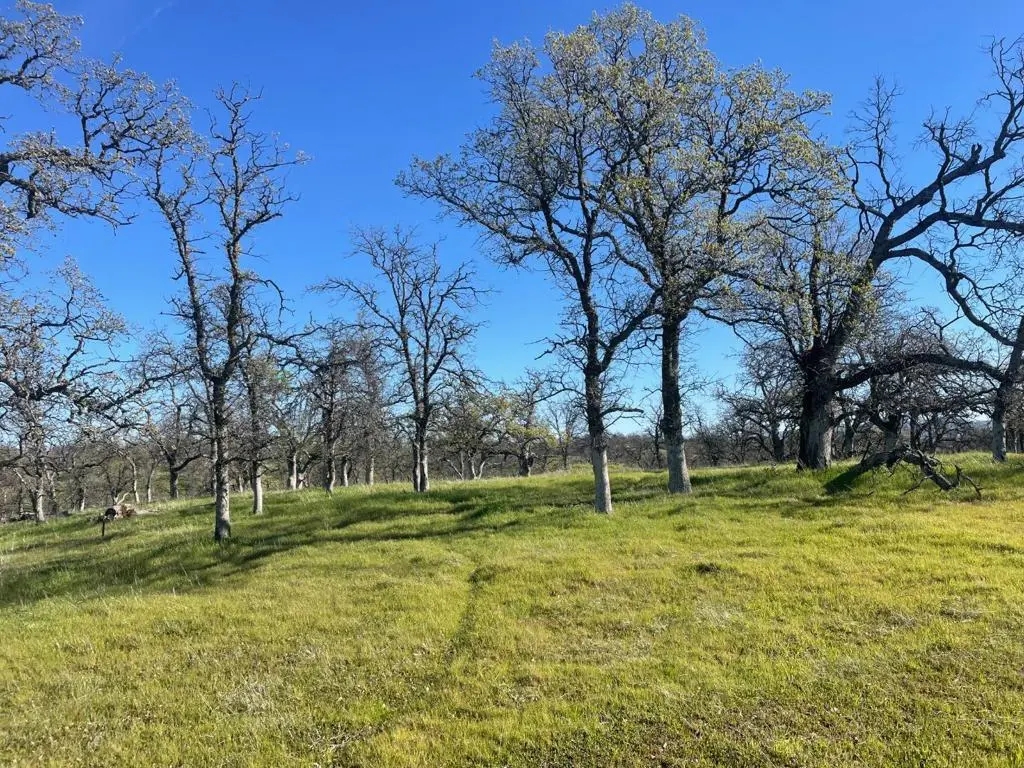 108 Lot 8 of Tract No.91-1002 Lane, Red Bluff, CA — listing photo 1