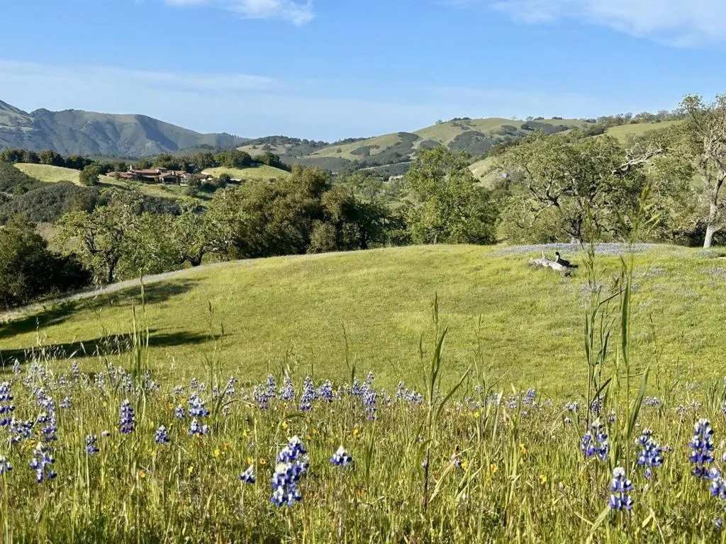 8 Touche, Carmel, CA — listing photo 1