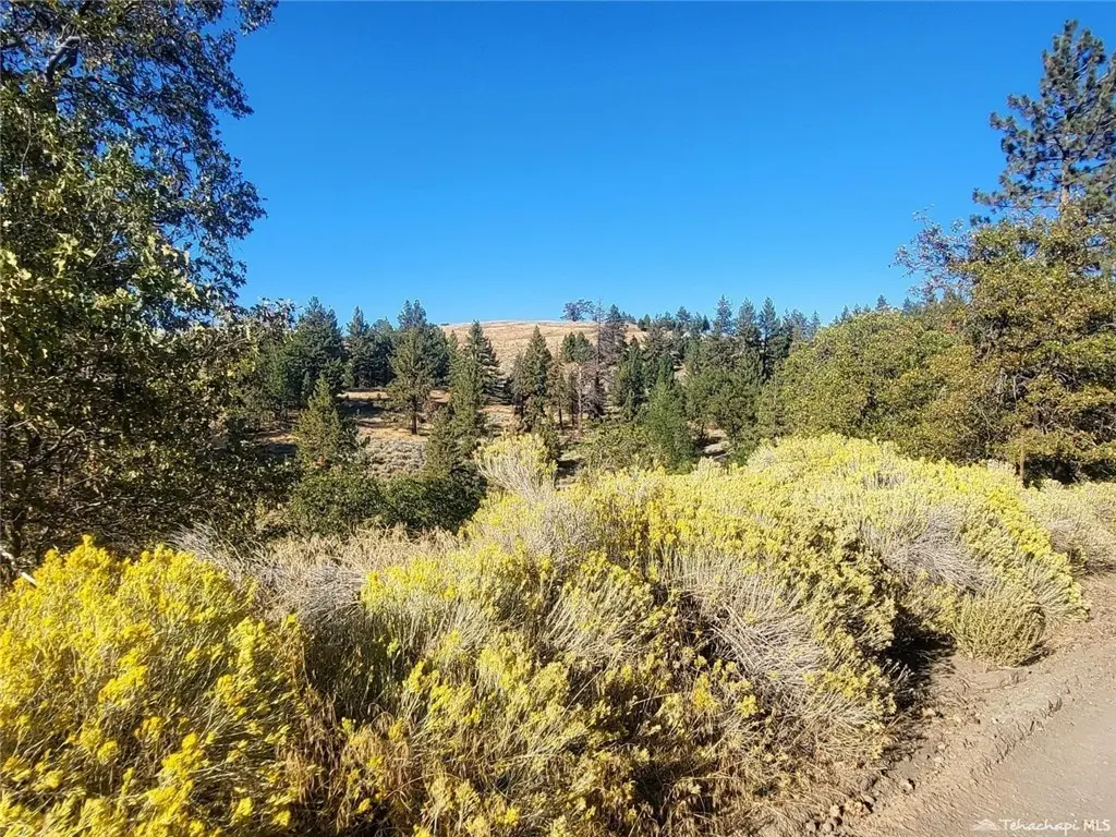 16851 Interlaken Street, Tehachapi, CA — listing photo 1