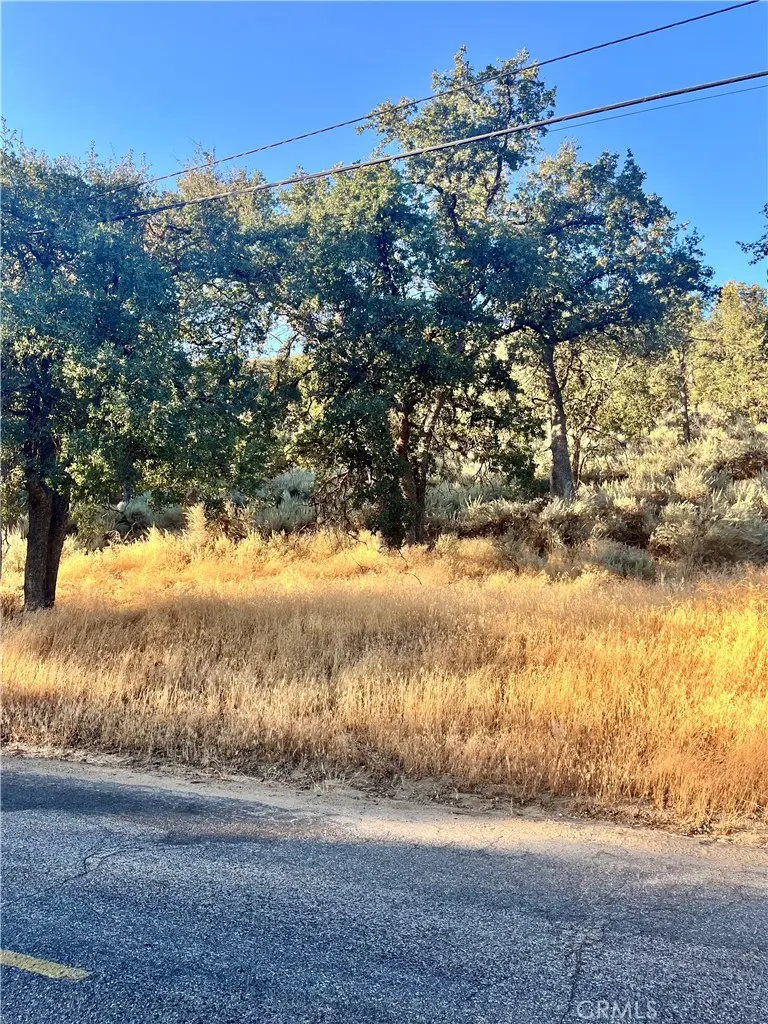 0 Alps Drive, Alpine Forest, CA — listing photo 1