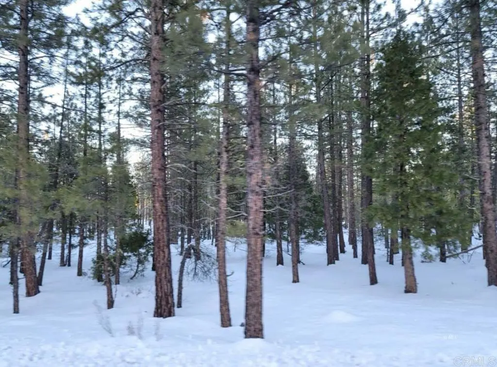 0 Glacier Dr Lot 12, Alturas, CA — listing photo 1