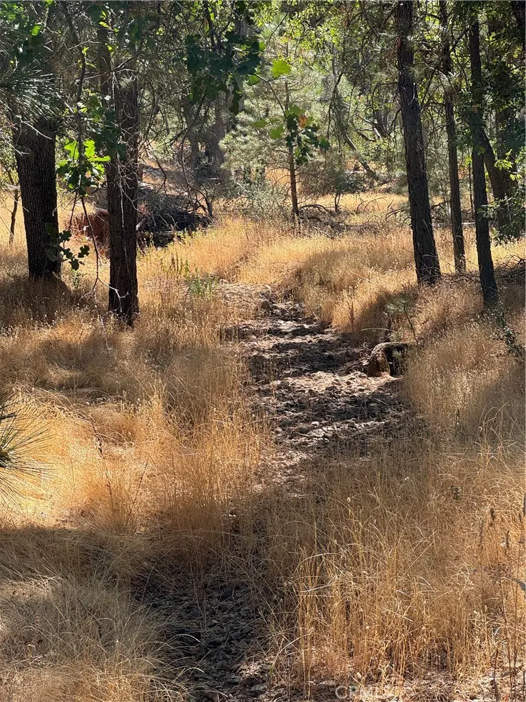 5718 E Whitlock Road, Mariposa, CA — listing photo 1