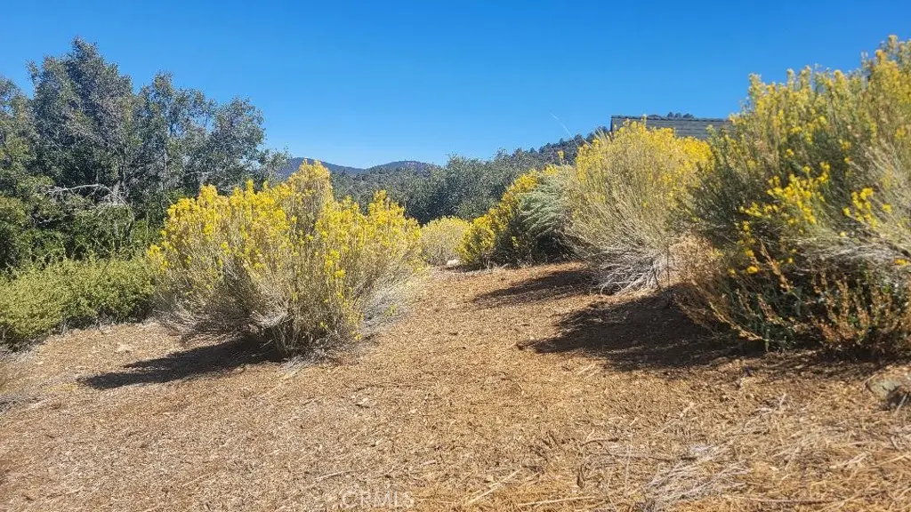 1806 Zermatt, Pine Mountain Club, CA — listing photo 1