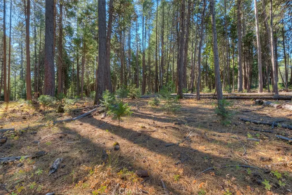 0 Fern Glenn Way, Magalia, CA — listing photo 1