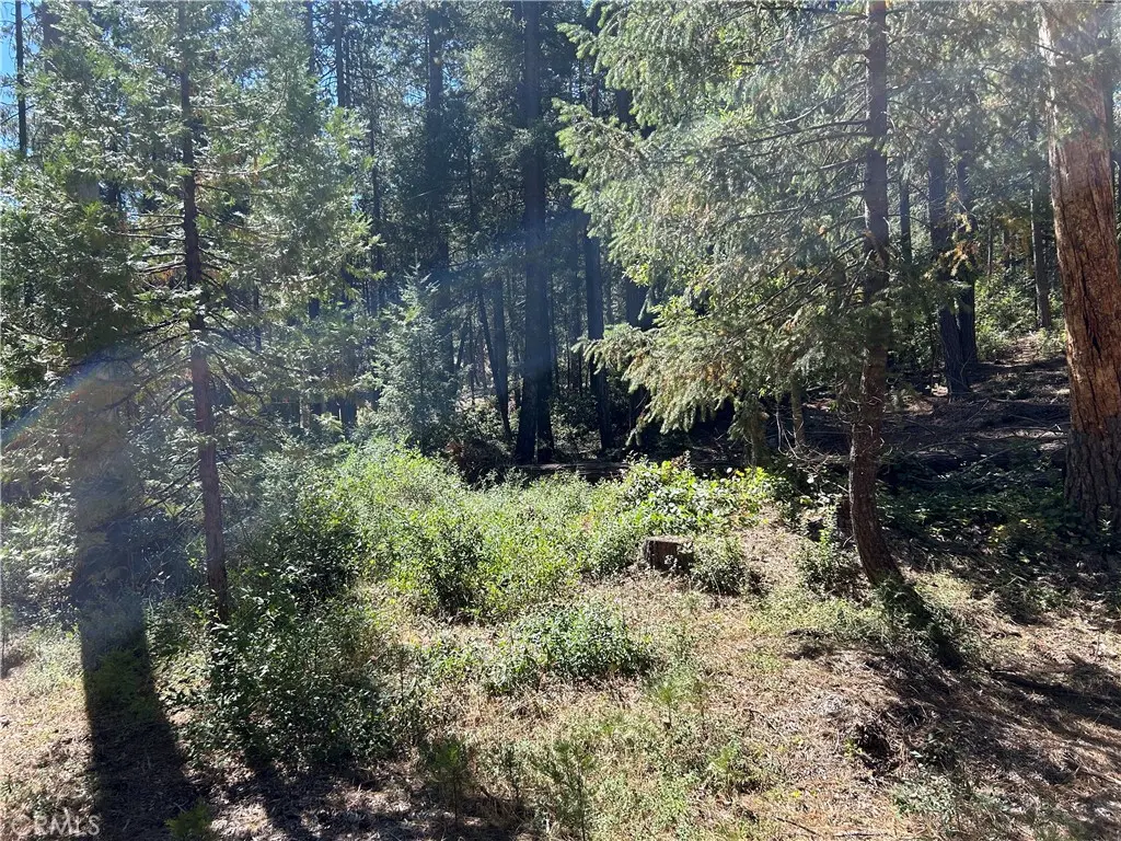 0 coutelenc, Magalia, CA — listing photo 1