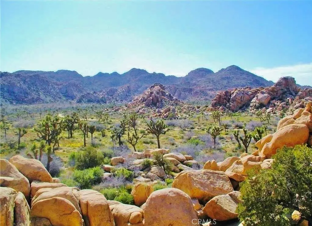 61936 El Reposo Circle, Joshua Tree, CA — listing photo 1