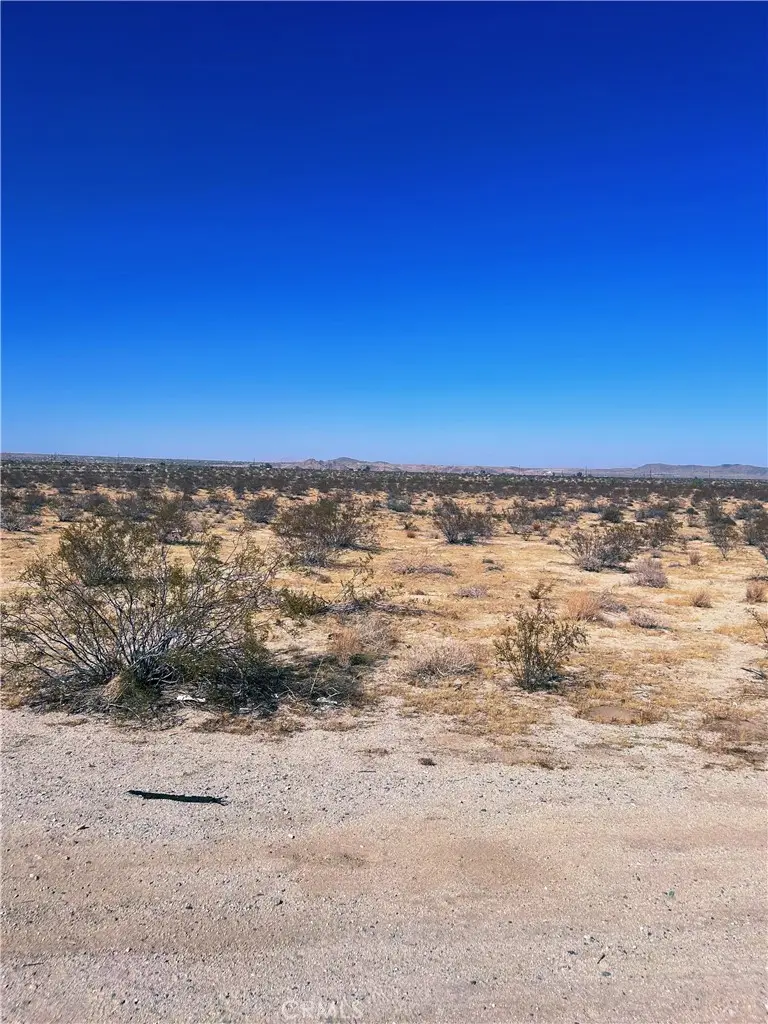 29 Palms Highway, Joshua Tree, CA — listing photo 1
