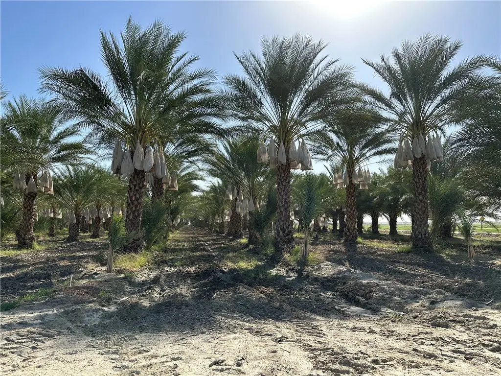 60504 Jackson Street, Unincorporated, CA — listing photo 1