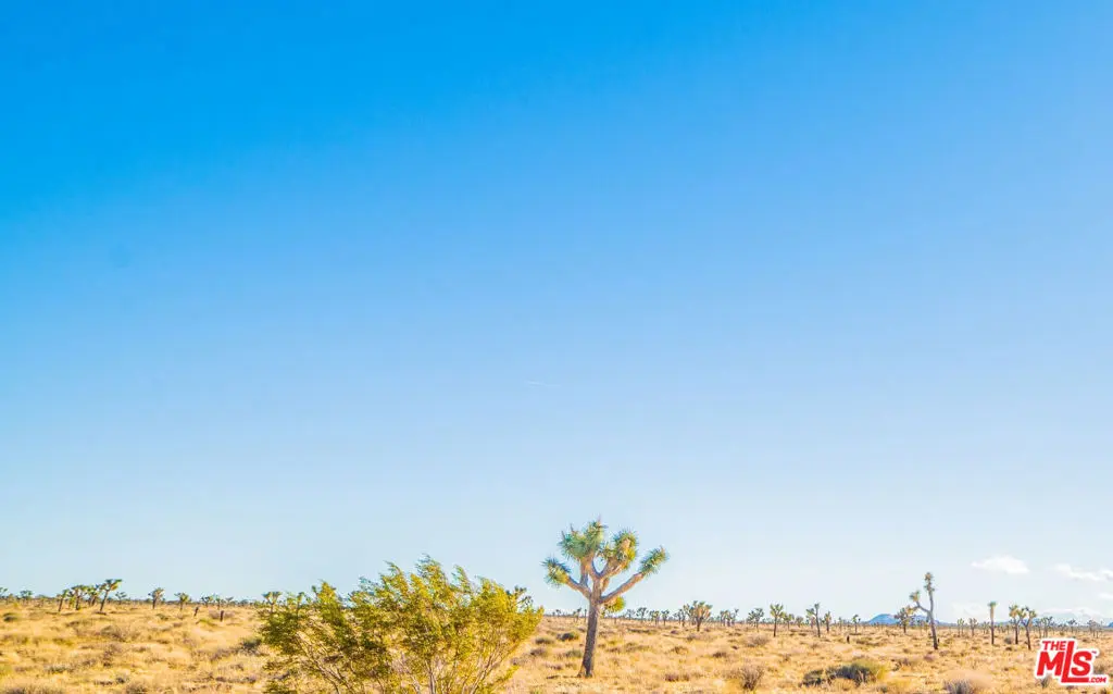 0 E 172nd Street 10, Lancaster, CA — listing photo 1
