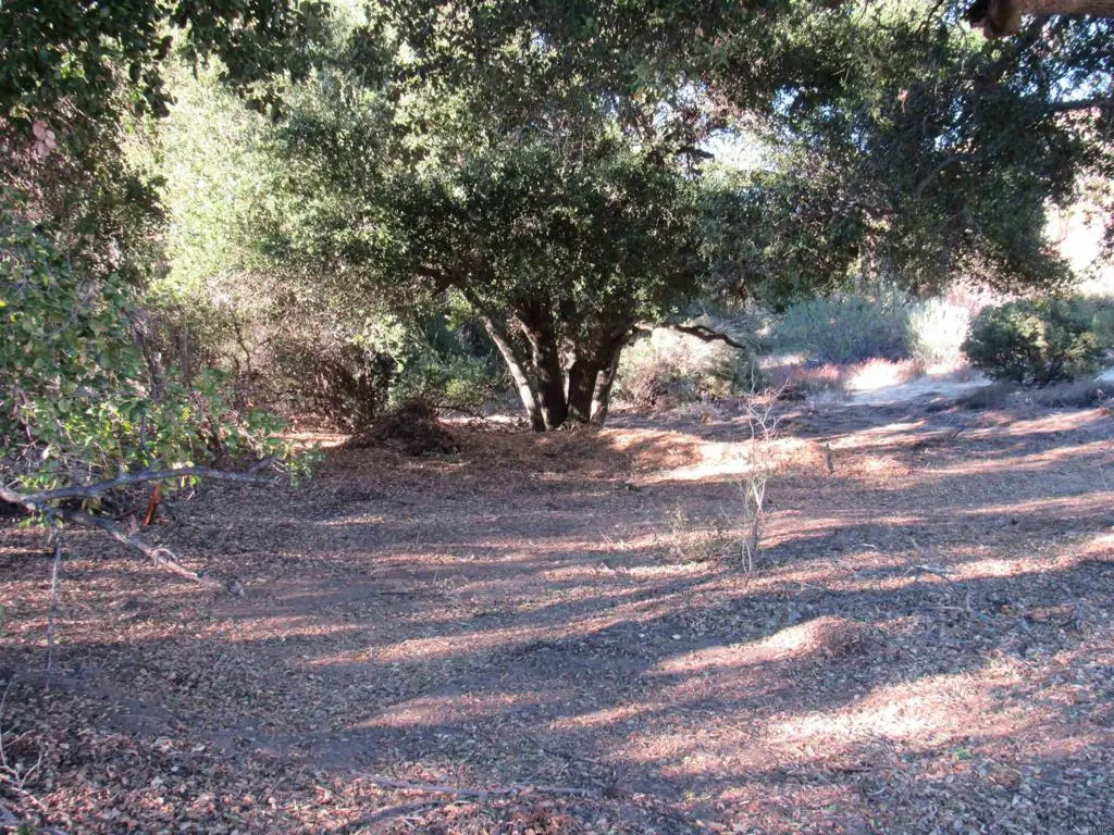 2115 N Campo Truck Trail, Campo, CA — listing photo 1