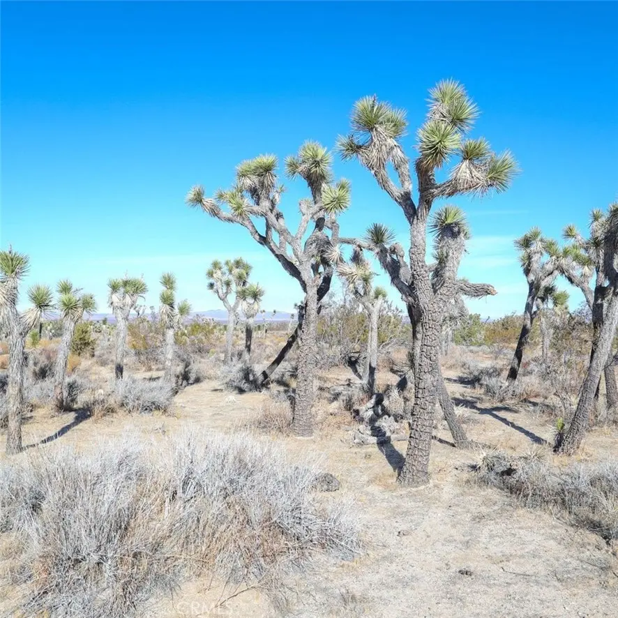 0 W AVE 12, Llano, CA — listing photo 1