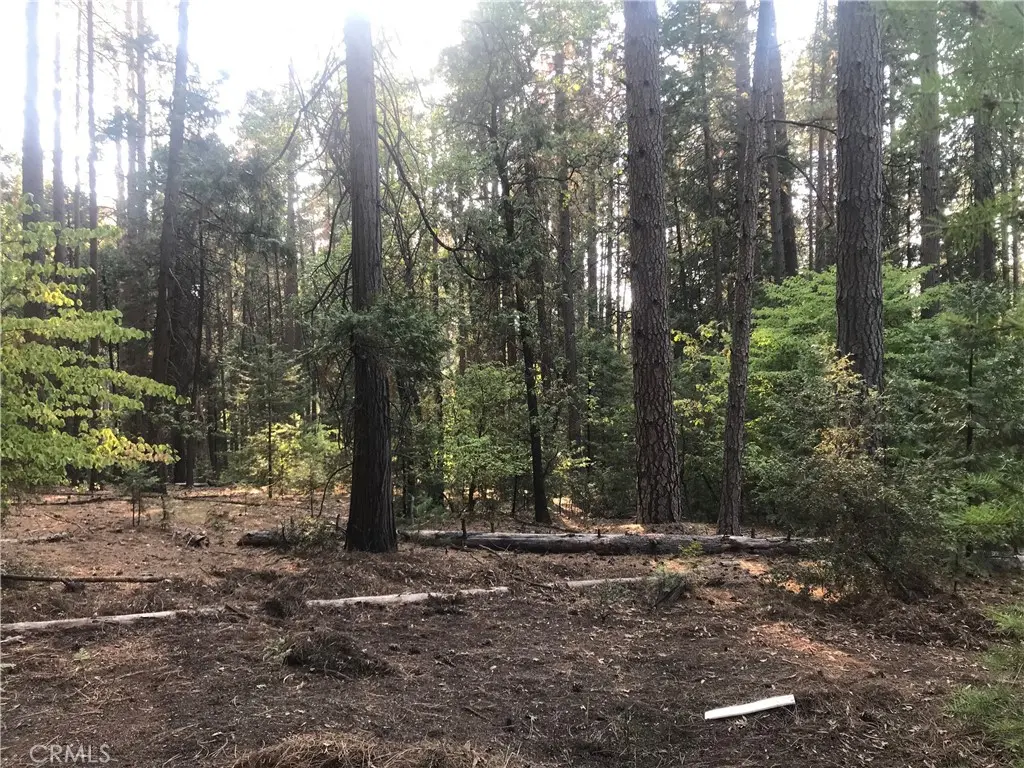 Residential Lease for rent at 1 kaelin, Feather Falls, Butte County, CA