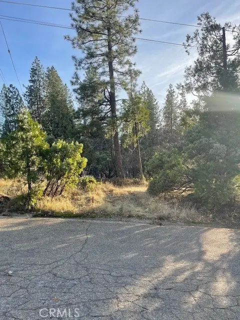 6172 Shad Way, Pollock Pines, CA — listing photo 1