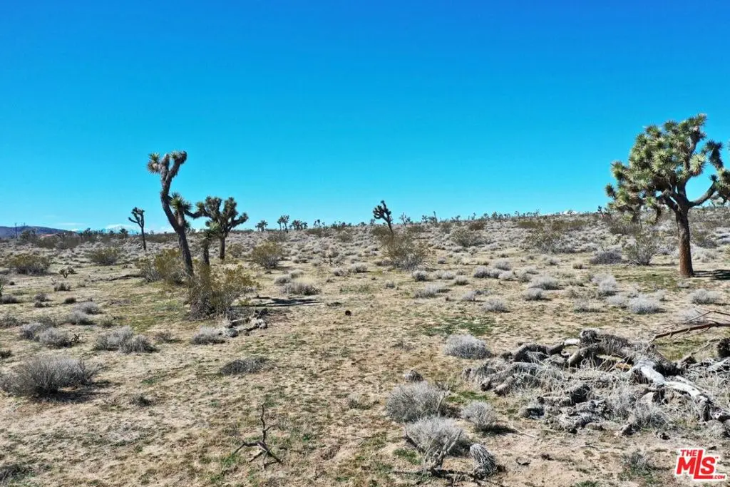 0 Rice Avenue, Joshua Tree, CA — listing photo 1