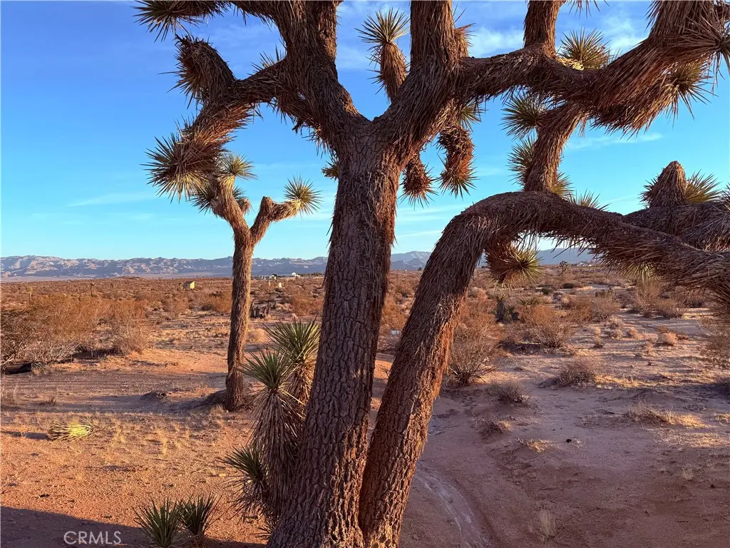 2700 Del Sol, Joshua Tree, CA — listing photo 1