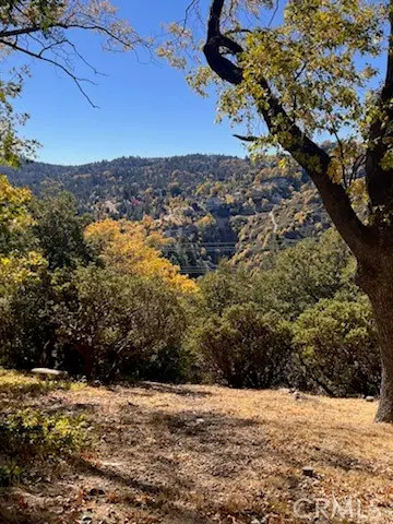 0 Grass Valley Road, Lake Arrowhead, CA — listing photo 1