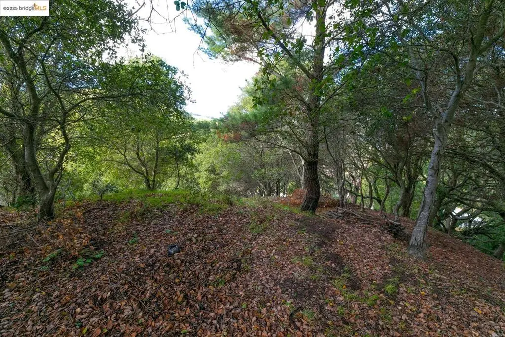 26 Lucille Way, Orinda, CA — listing photo 1