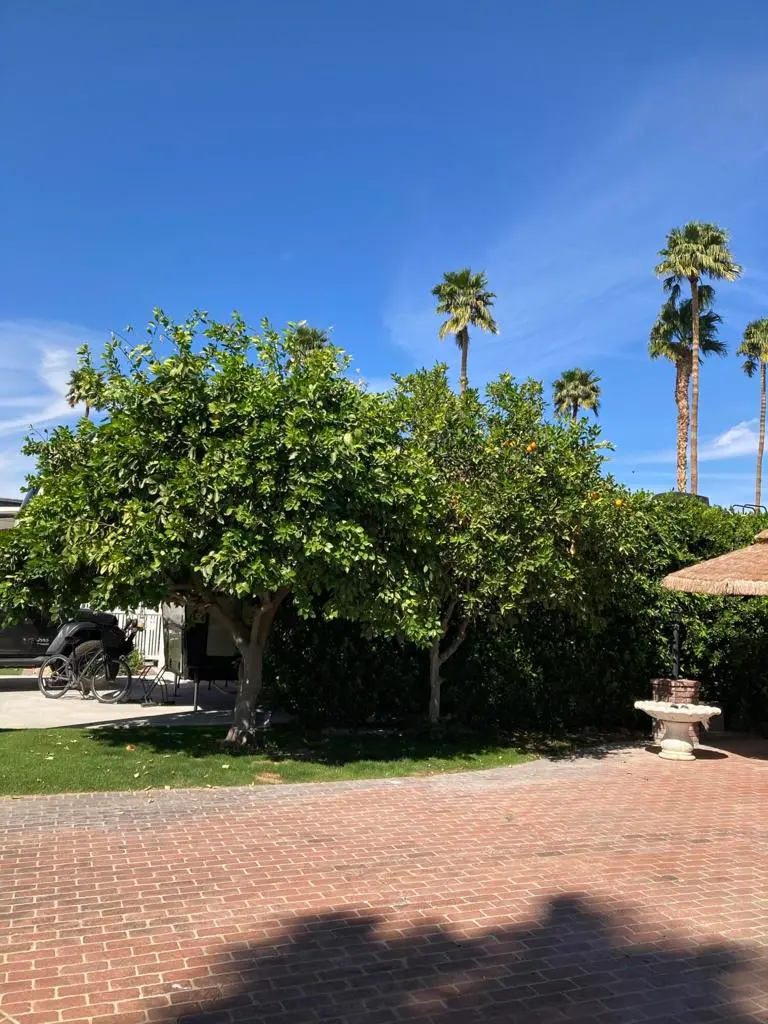 69411 Ramon Road 201, Cathedral City, CA — listing photo 1