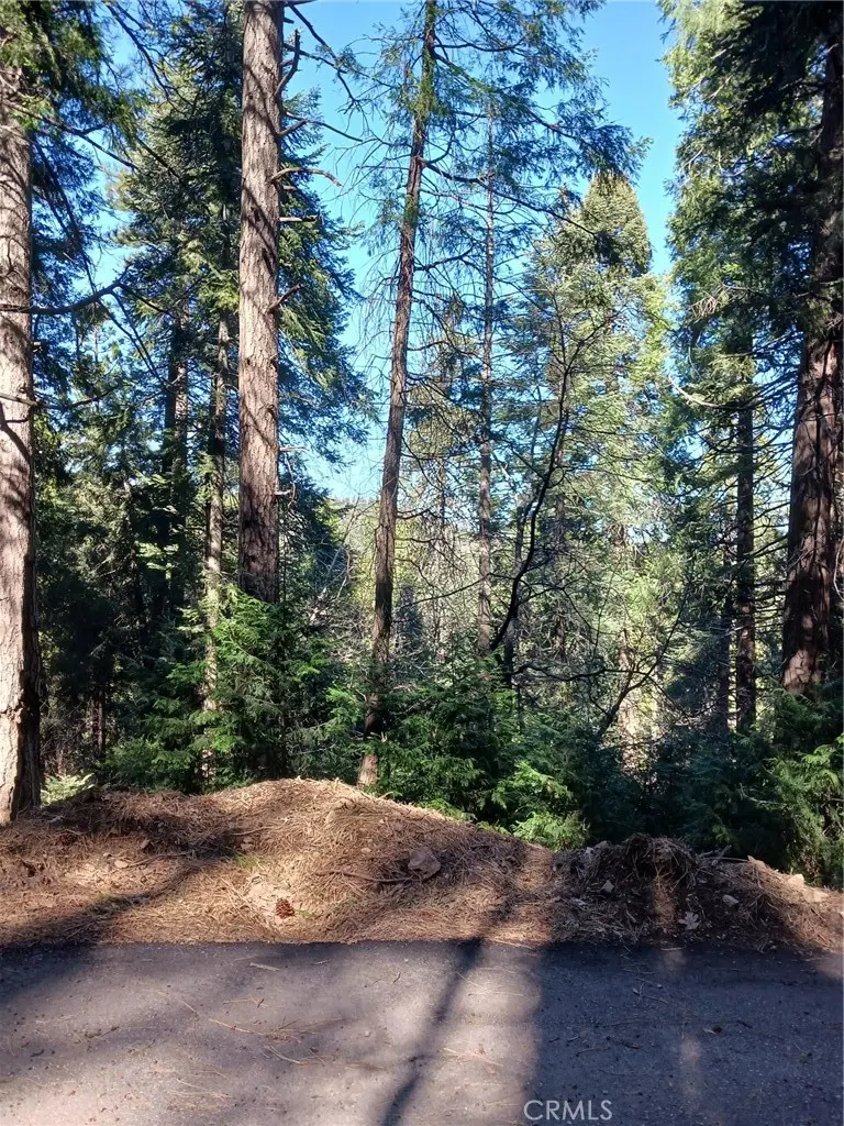 35 Spring Drive, Cedarpines Park, CA — listing photo 1