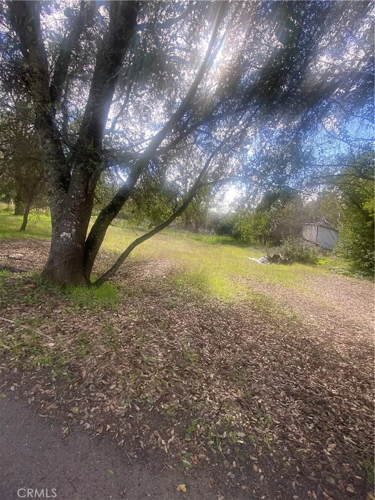 7005 Marin Street, Nice, CA — listing photo 1
