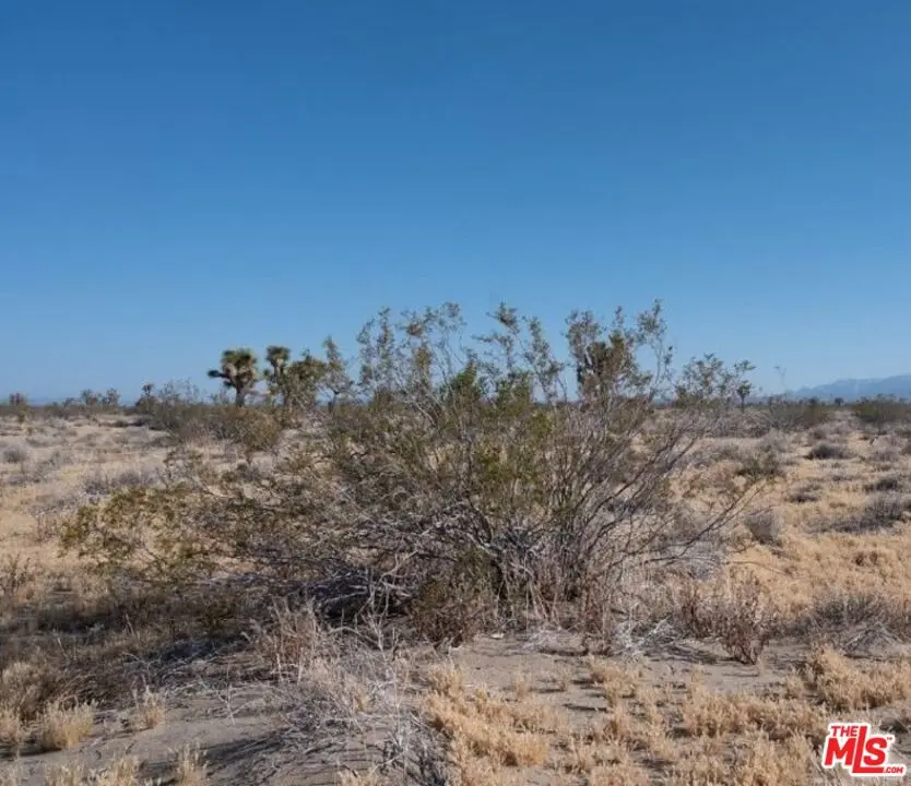 0 Tumbleweed, Adelanto, CA — listing photo 1
