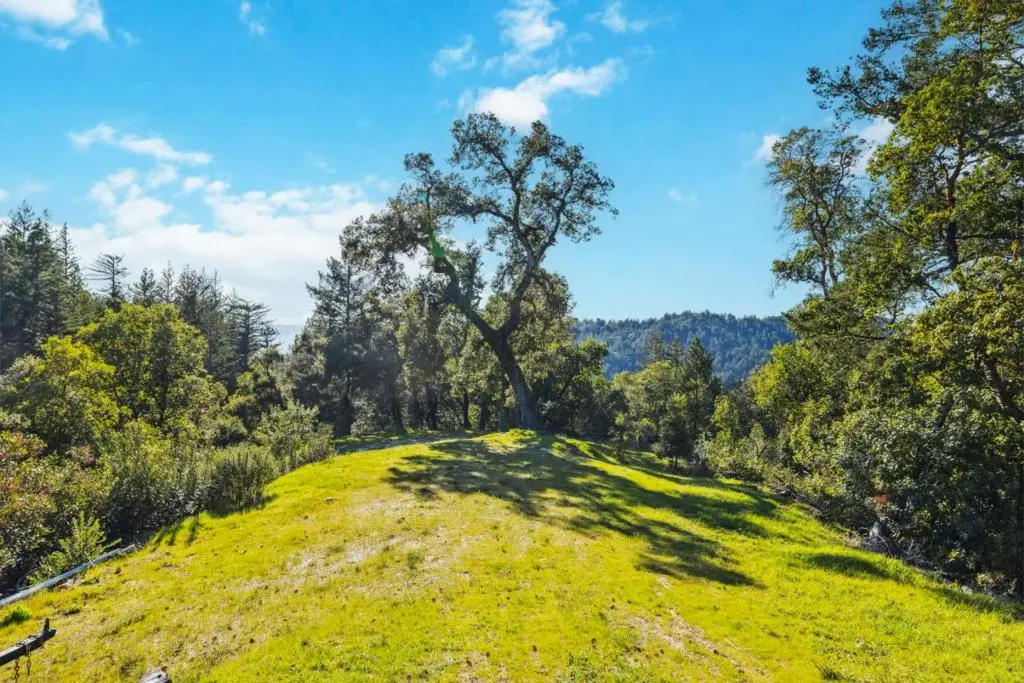 28 Hartman Creek, Boulder Creek, CA — listing photo 1