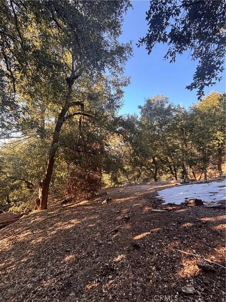 0 North Rd, Twin Peaks, CA — listing photo 1