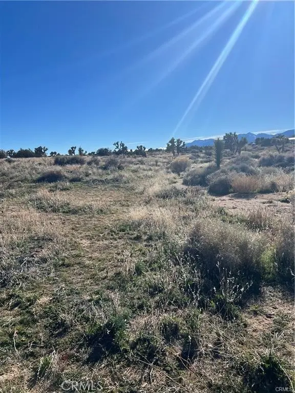0 Tricobble Court, Phelan, CA — listing photo 1