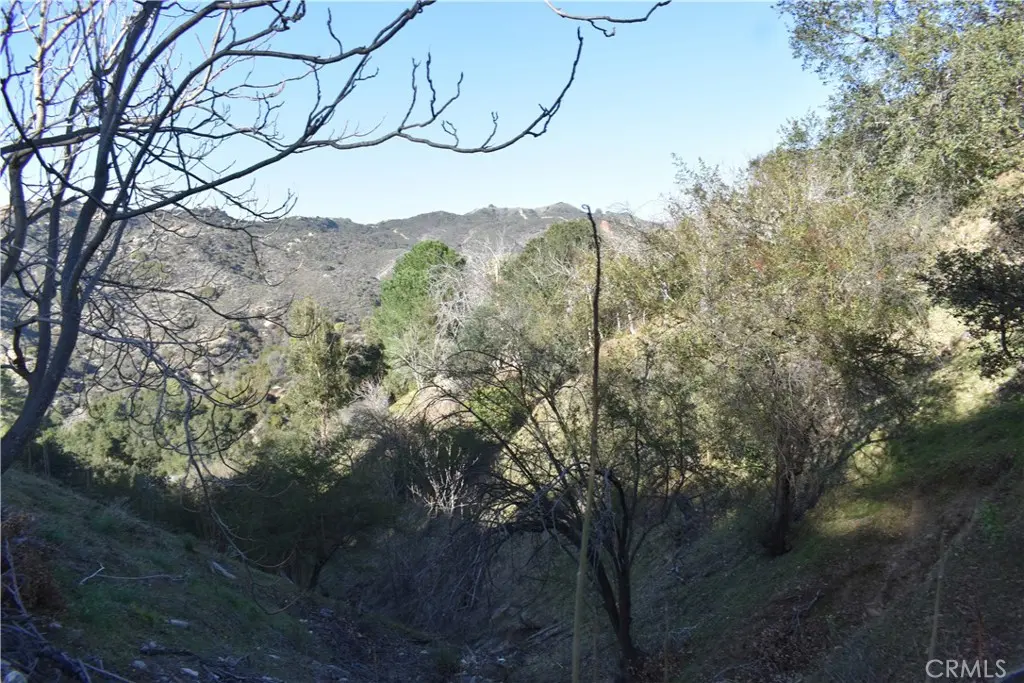 29935 Hickory Dr, Cedar Glen, CA — listing photo 1