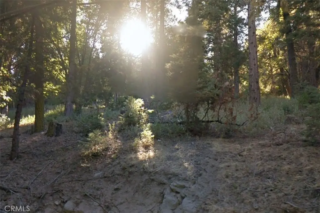 20 Burnt Mill Canyon Road, Cedarpines Park, CA — listing photo 1