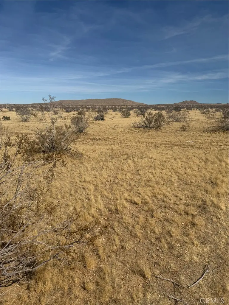 0 Chambray Street, Oro Grande, CA — listing photo 1
