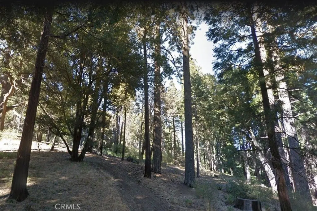 59 Mojave River Road, Cedarpines Park, CA — listing photo 1