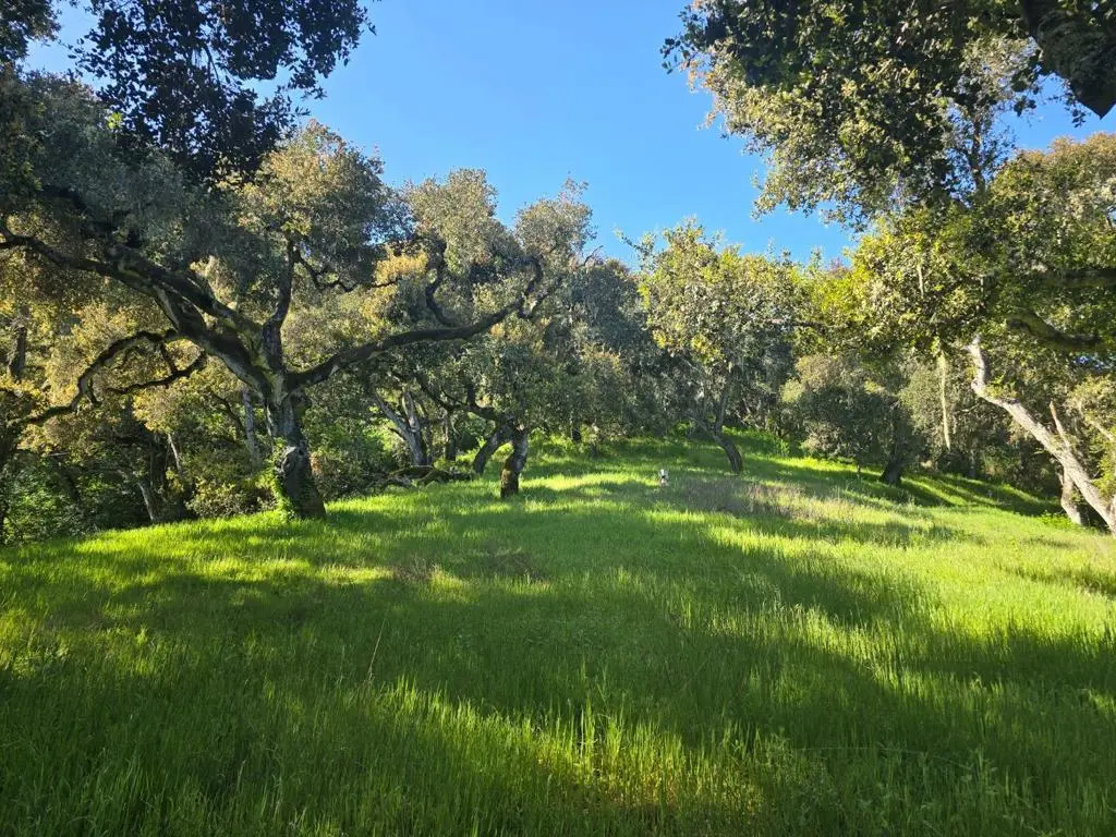 16 SLEEPY HOLLOW DRIVE, Carmel Valley, CA — listing photo 1