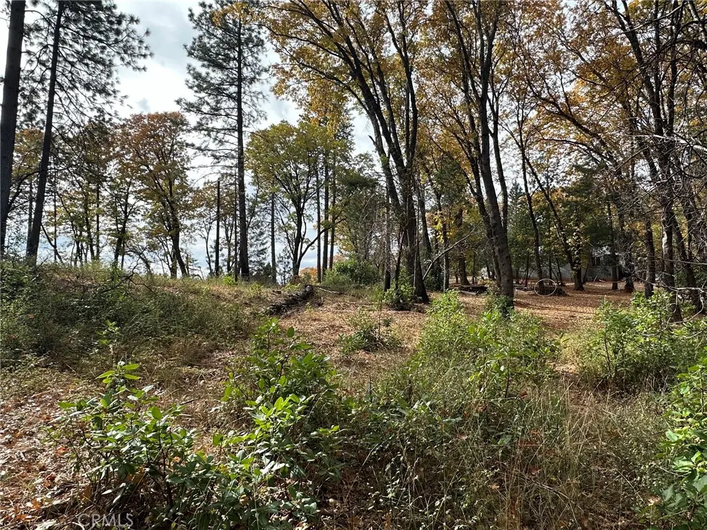 0 Bunker Hill Mine Rd, Yankee Hill, CA — listing photo 1
