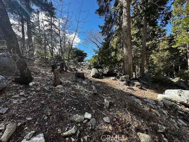 0 Fir, Forest Falls, CA — listing photo 1