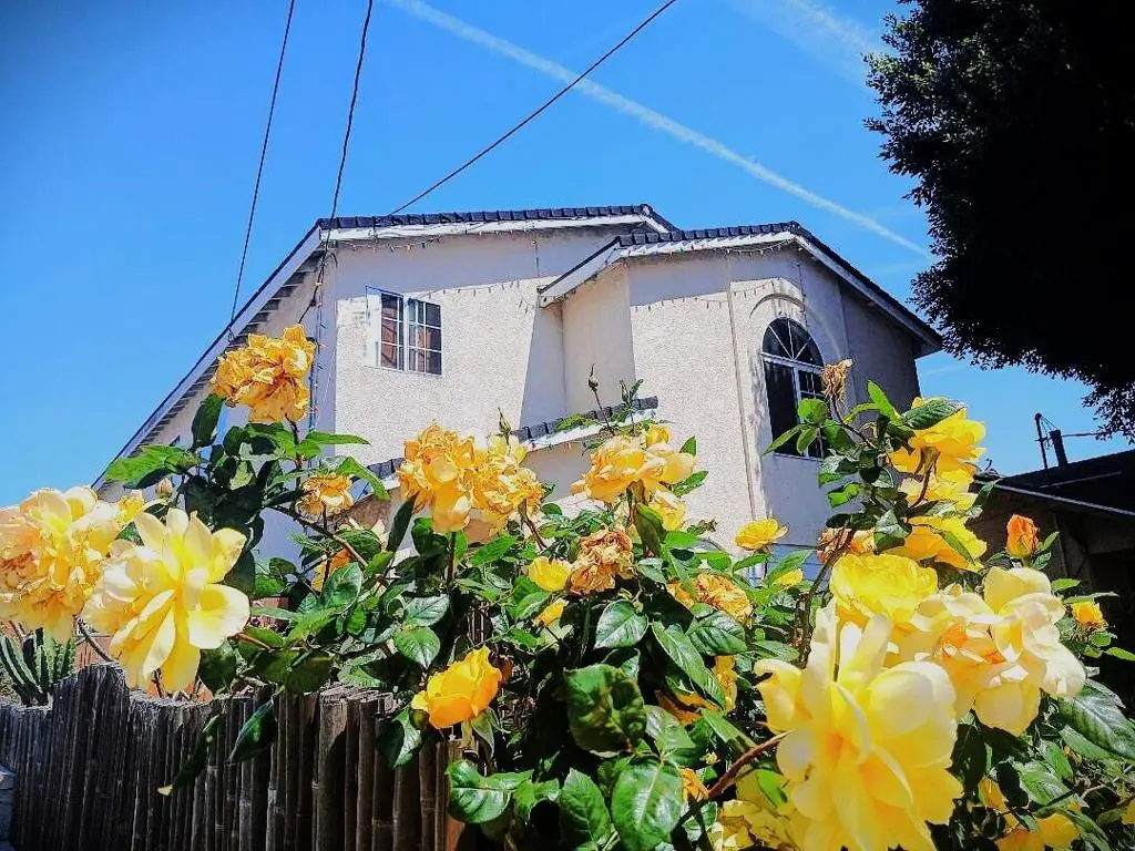 230 232 W 15th Street, San Pedro, CA — listing photo 1