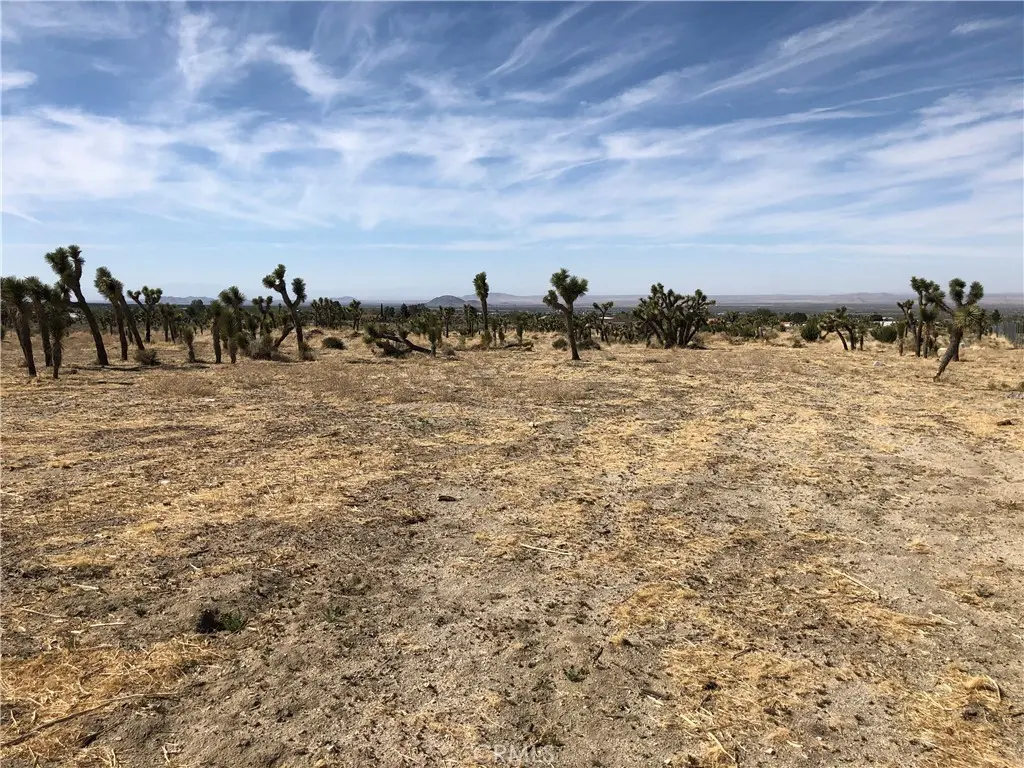 10823 Daisy Court Lane, Pinon Hills, CA — listing photo 1