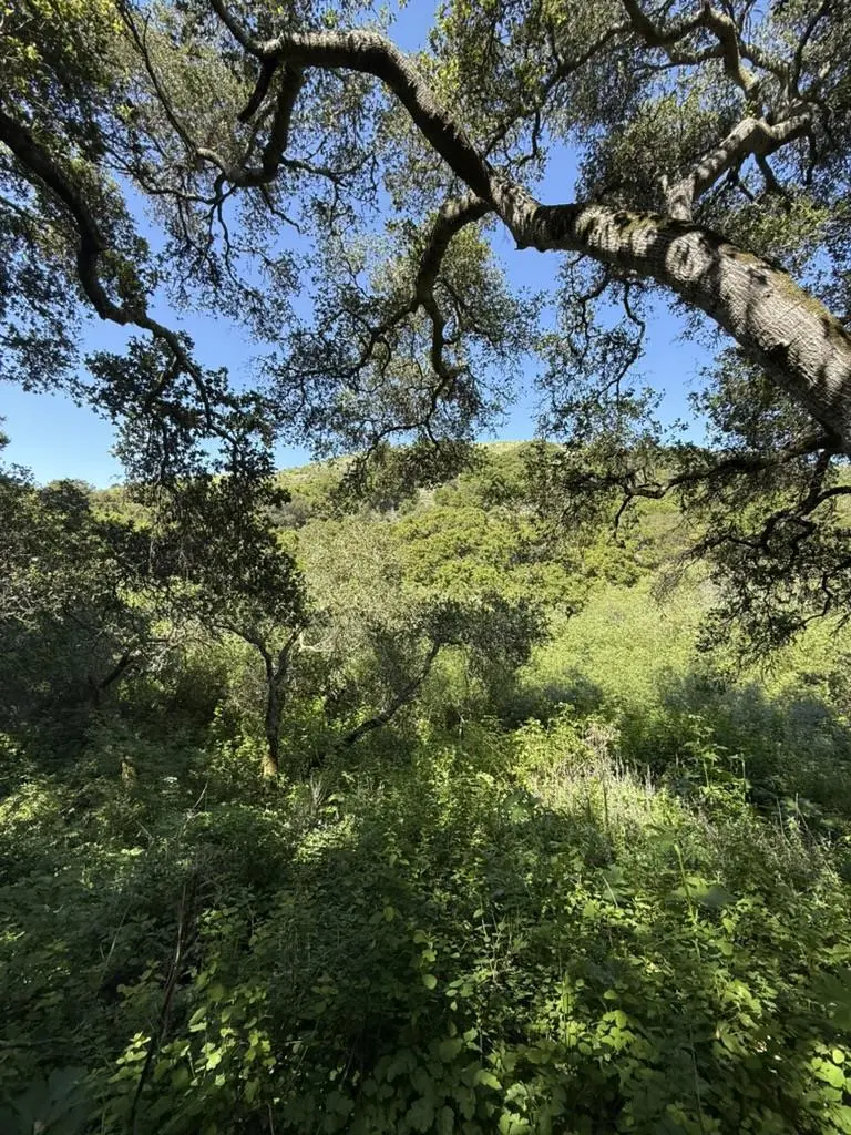 0 Bartlett Way, Belmont, CA — listing photo 1