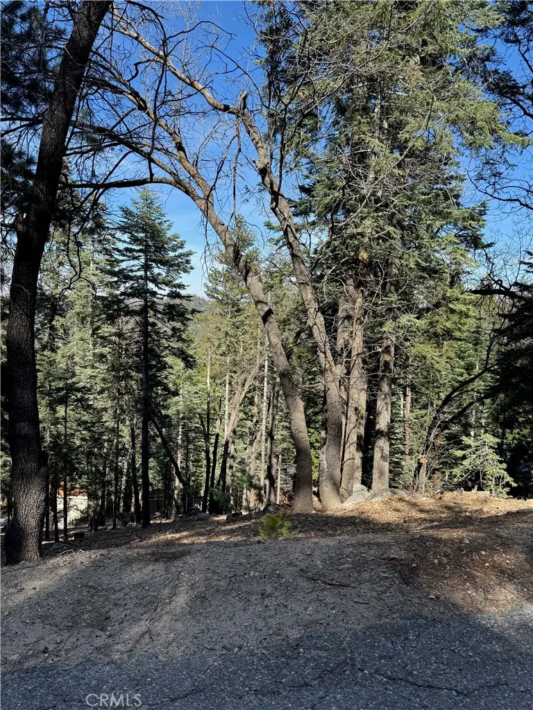 26537 Spyglass Drive, Lake Arrowhead, CA — listing photo 1
