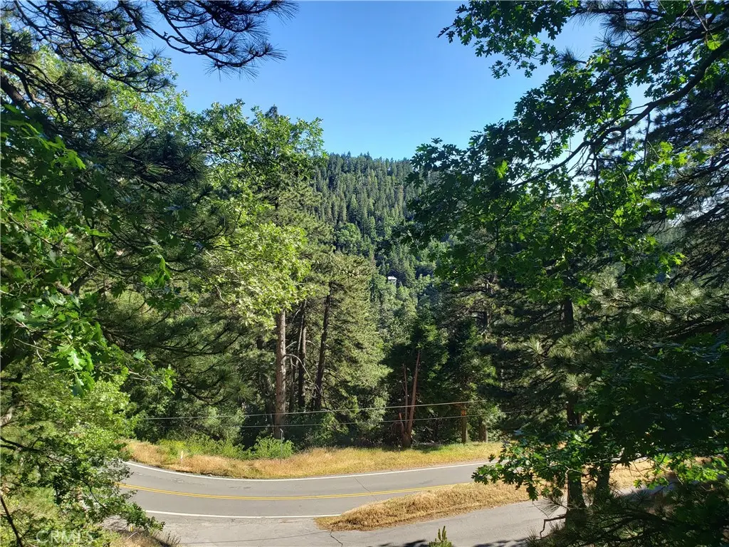 21858 Fern Canyon Road, Cedarpines Park, CA — listing photo 1