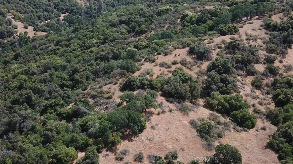 8 Acres, Miramonte, CA — listing photo 1