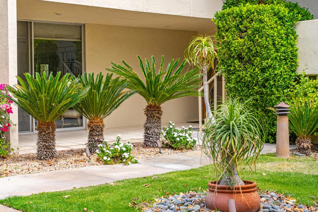 Residential Lease for rent at 477 Desert Lakes Drive, Palm Springs, Riverside County, CA featuring 2 beds and 3 baths