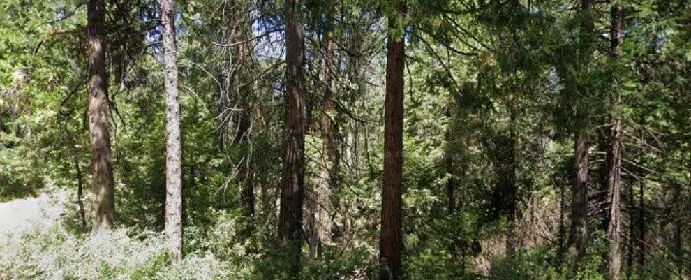 166 Higdon Road, West Point, CA — listing photo 1