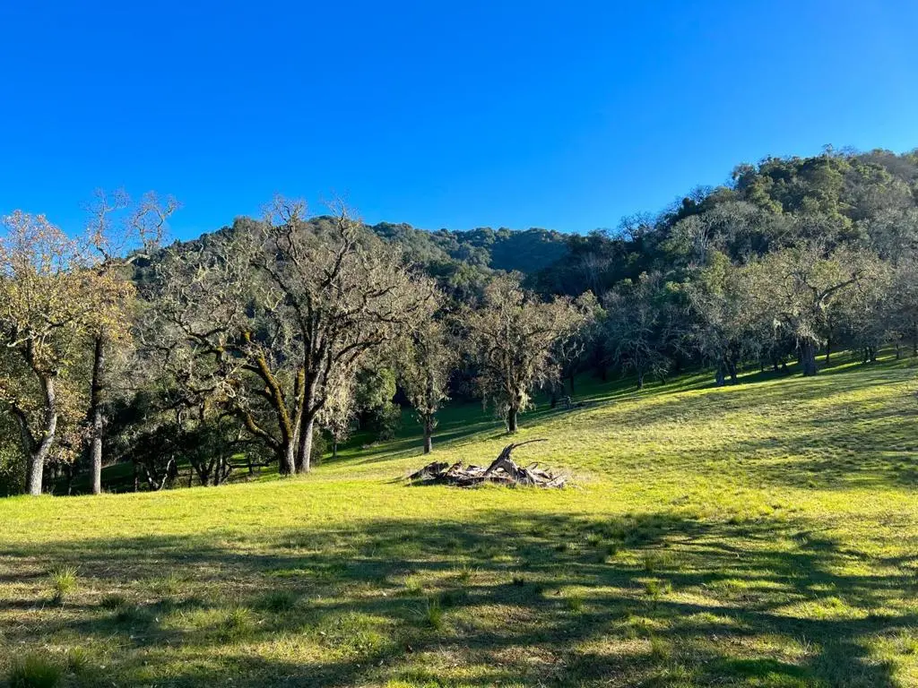 22 Arroyo Sequoia, Carmel, CA — listing photo 1